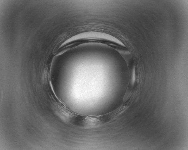 X0000081590333200701151316