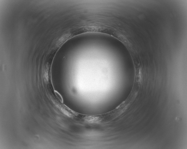 X0000081590334200701151316