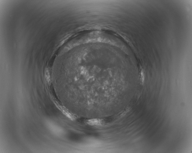 X0000081590335200701151316
