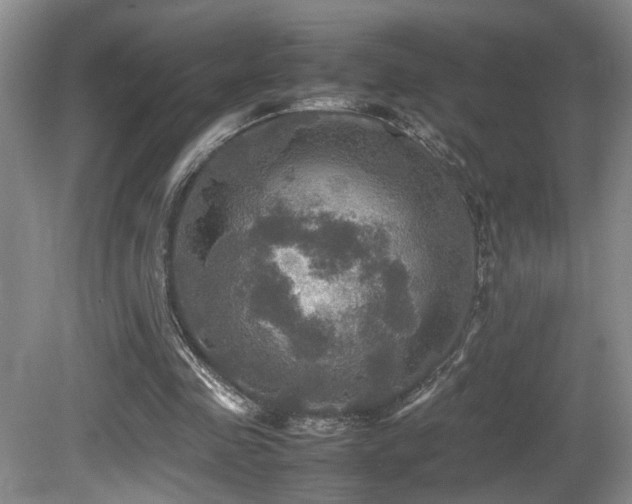 X0000081590341200701151315