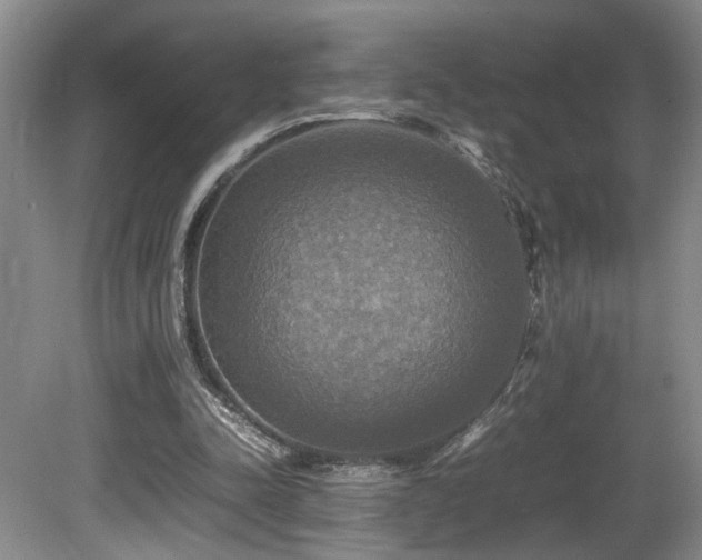X0000081590342200701151315