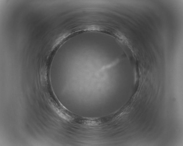 X0000081590347200701151315