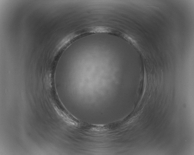 X0000081590351200701151315