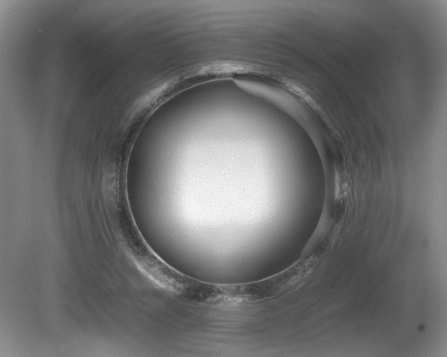 X0000081590352200701151315