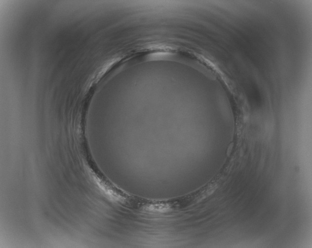X0000081590353200701151315