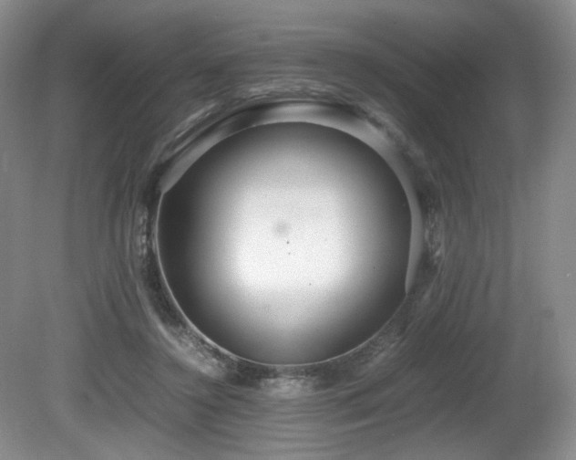 X0000081590356200701151315