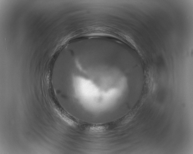 X0000081590357200701151315