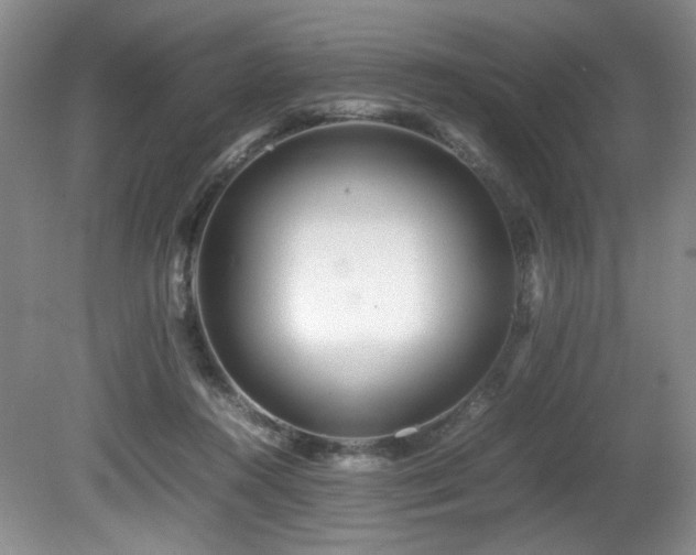 X0000081590360200701151315