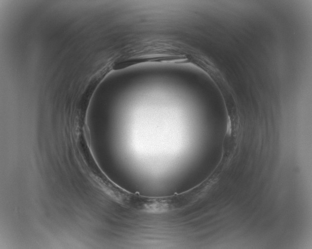 X0000081590362200701151315