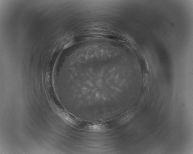 X0000081590365200701151315