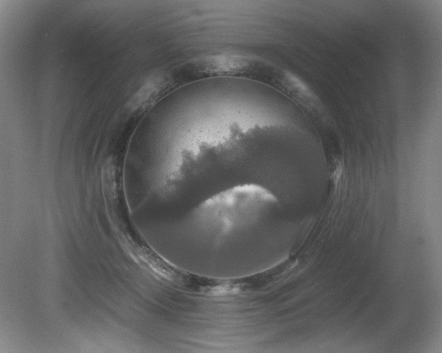 X0000081590366200701151315