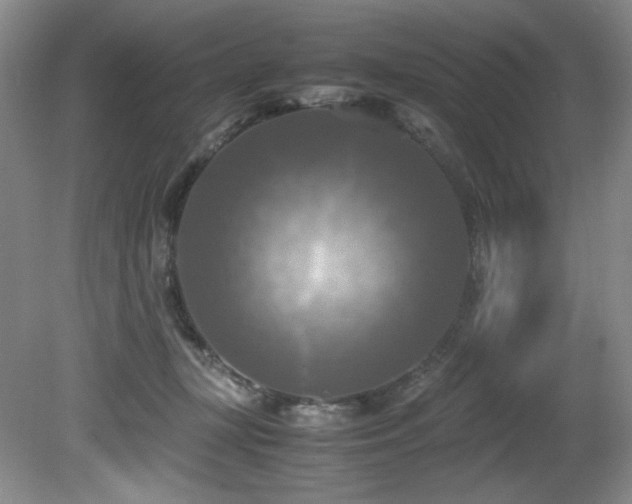 X0000081590367200701151315