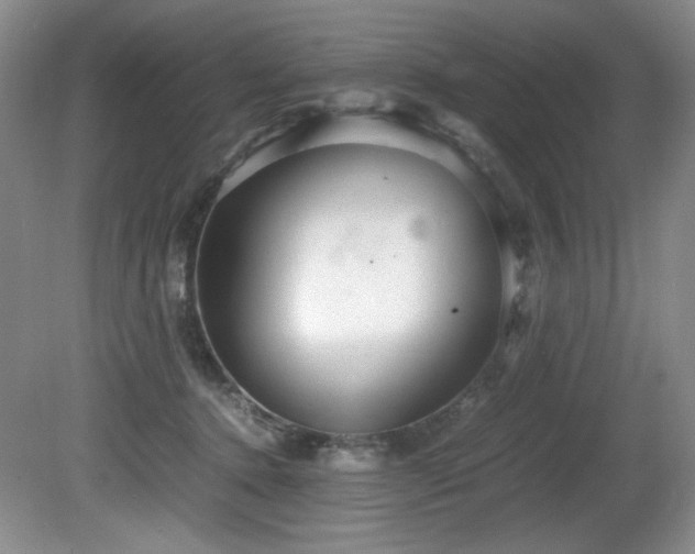 X0000081590368200701151315