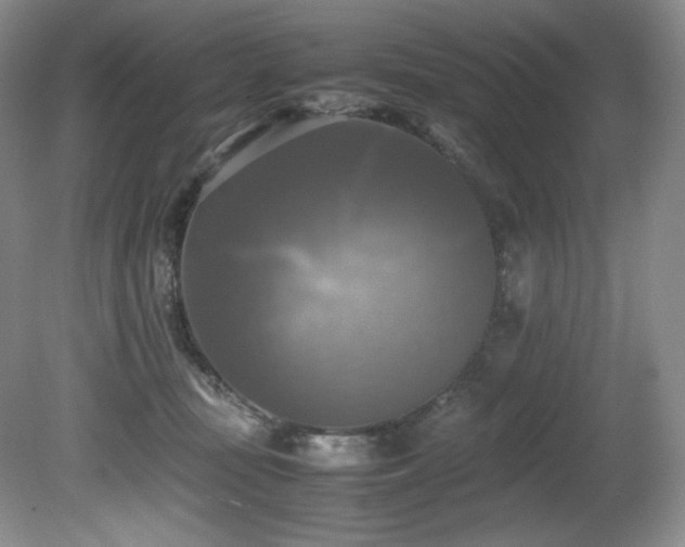 X0000081590371200701151315
