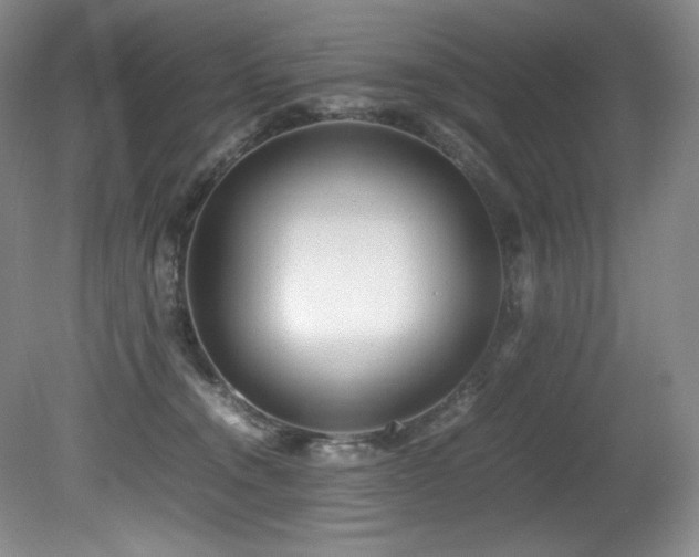 X0000081590372200701151315