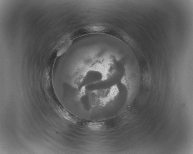 X0000081590373200701151315