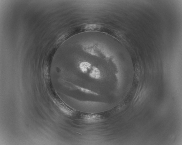 X0000081590375200701151315