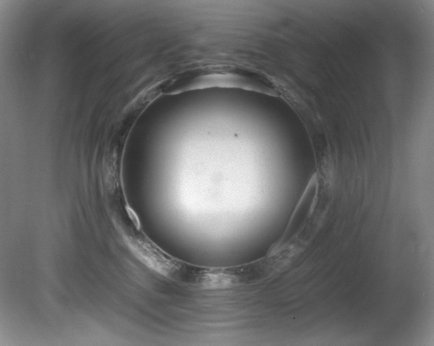 X0000081590376200701151315