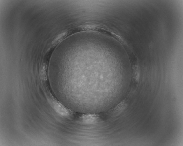 X0000081590378200701151315