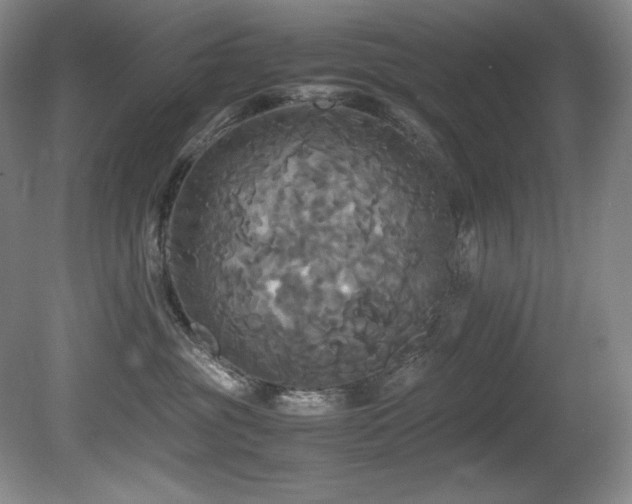 X0000081590381200701151315