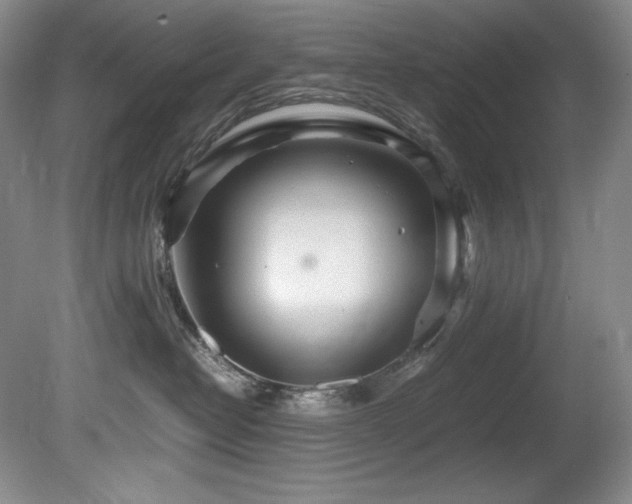 X0000081590382200701151315