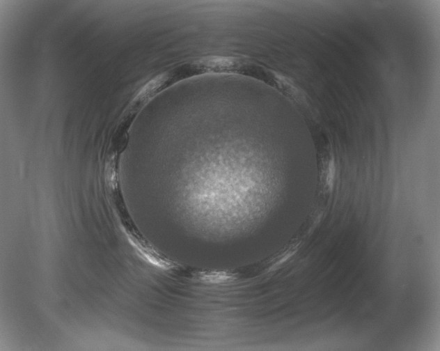 X0000081590383200701151315