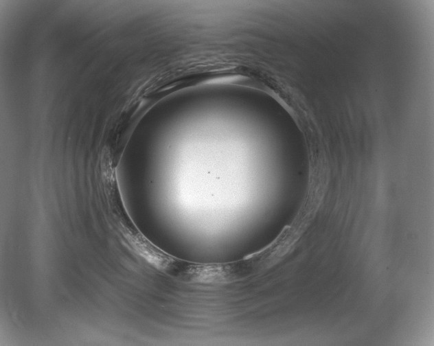 X0000081590384200701151316