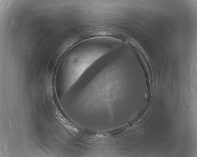 X0000081590386200701151315