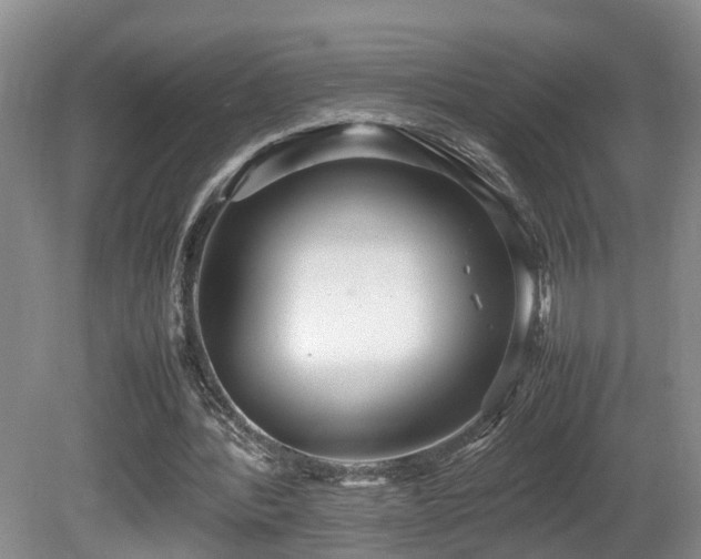 X0000081590388200701151315