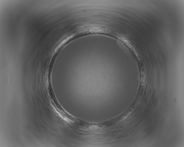 X0000081590390200701151315