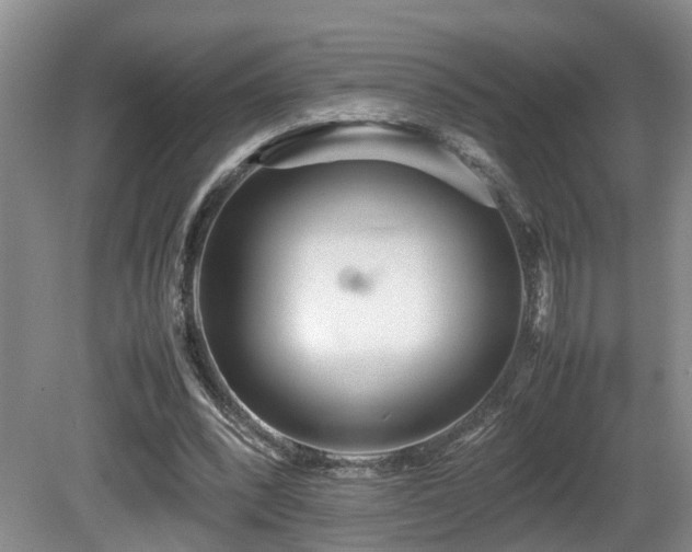X0000081590392200701151315