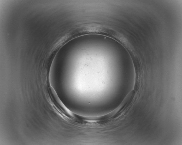 X0000081590397200701151314