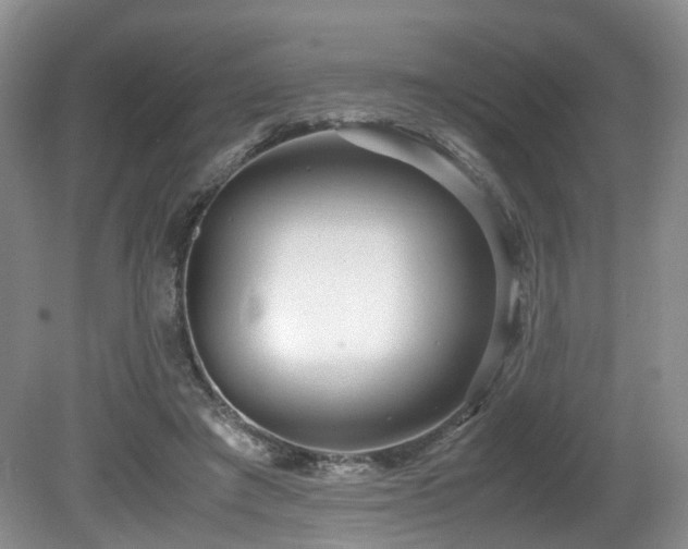 X0000081590401200701151314