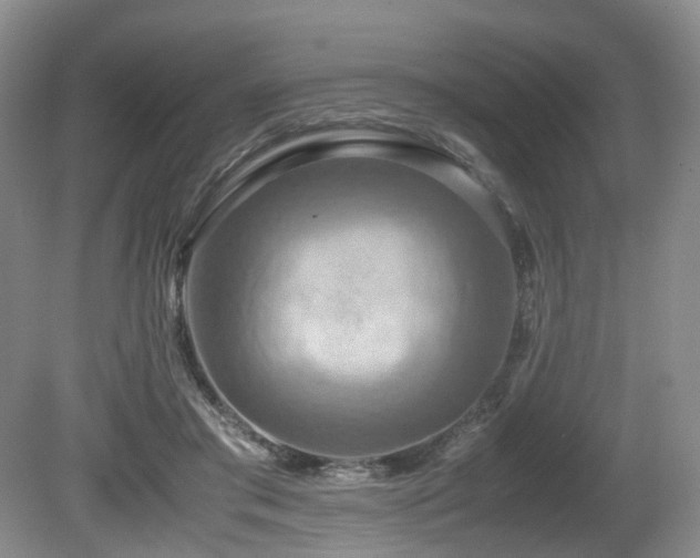 X0000081590405200701151314