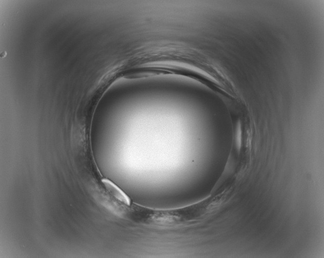 X0000081590407200701151314