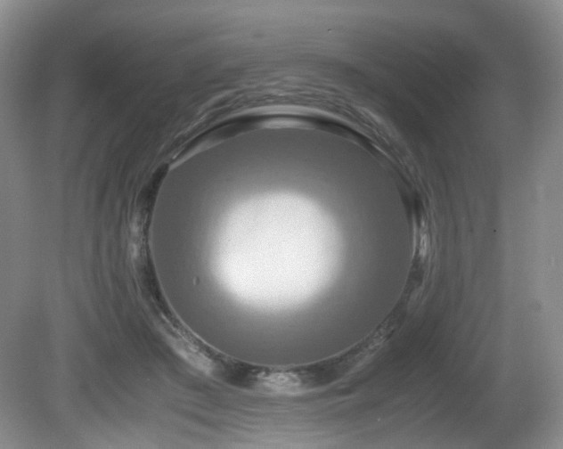 X0000081590409200701151314