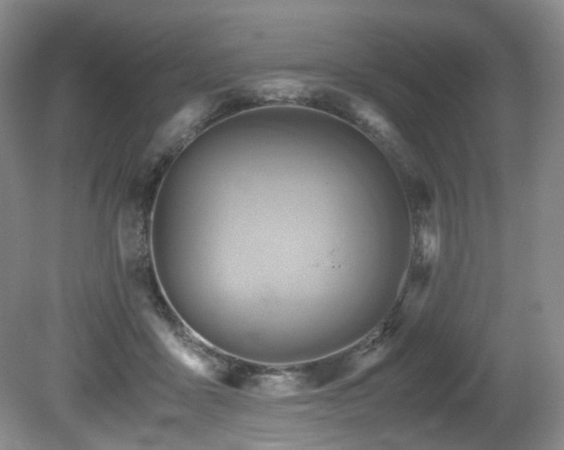X0000081590411200701151314