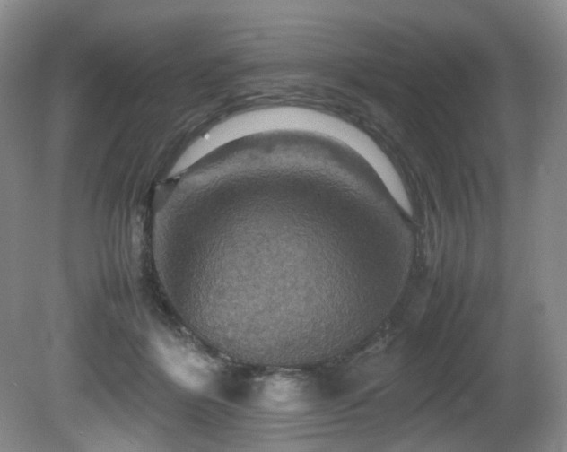 X0000081590412200701151314