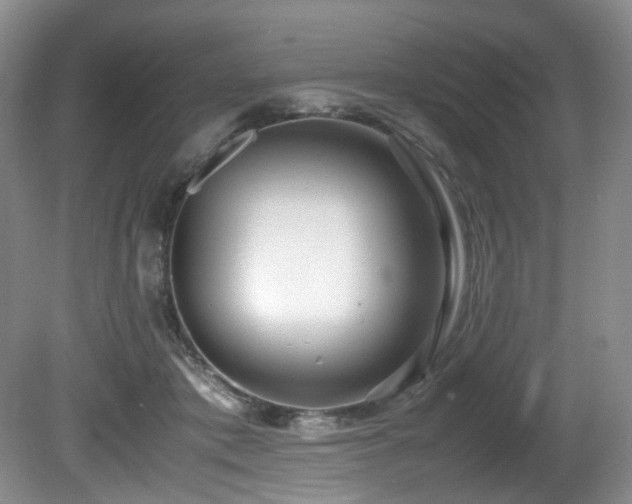 X0000081590413200701151314