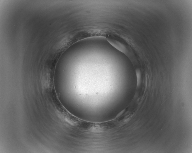 X0000081590416200701151314