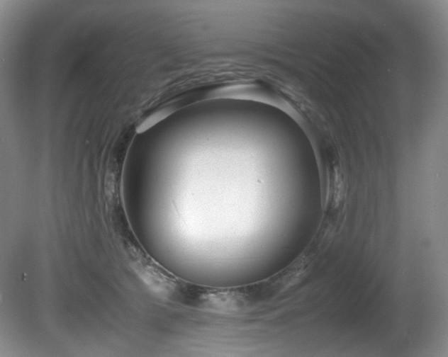 X0000081590417200701151314