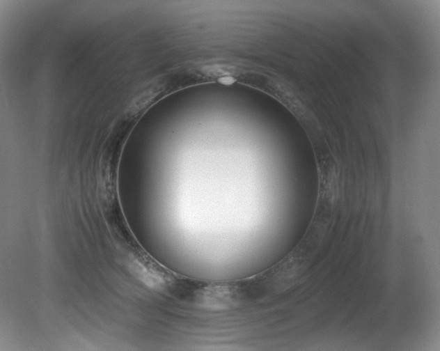 X0000081590418200701151314