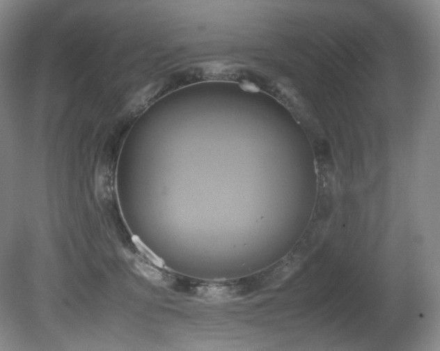 X0000081590419200701151314