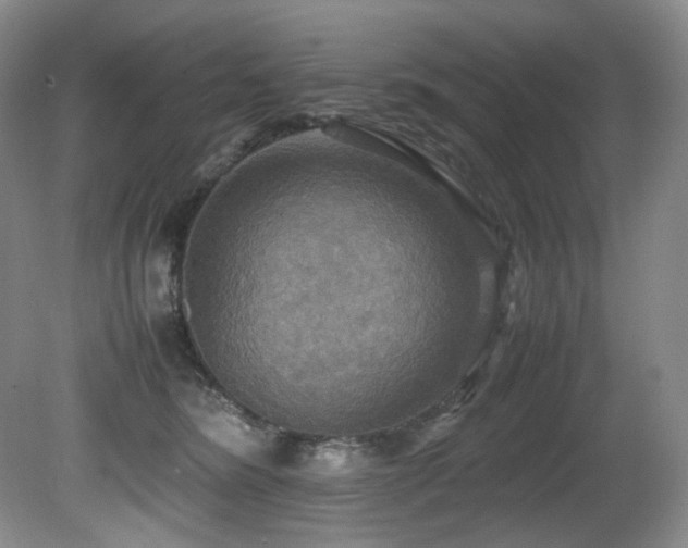 X0000081590420200701151314