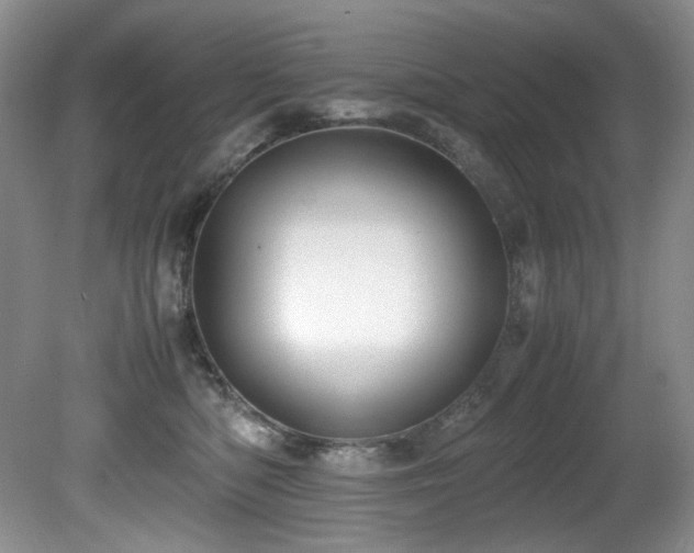 X0000081590422200701151314