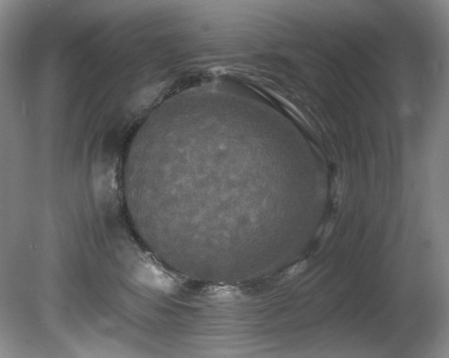 X0000081590424200701151314