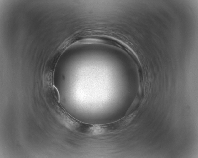 X0000081590425200701151314
