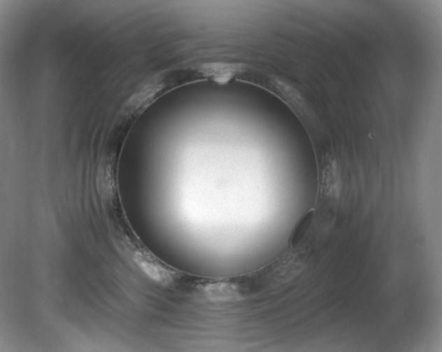 X0000081590426200701151314