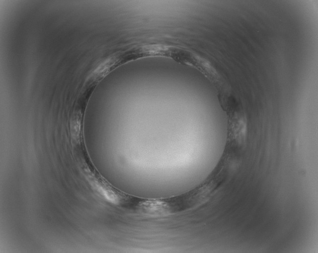 X0000081590427200701151314