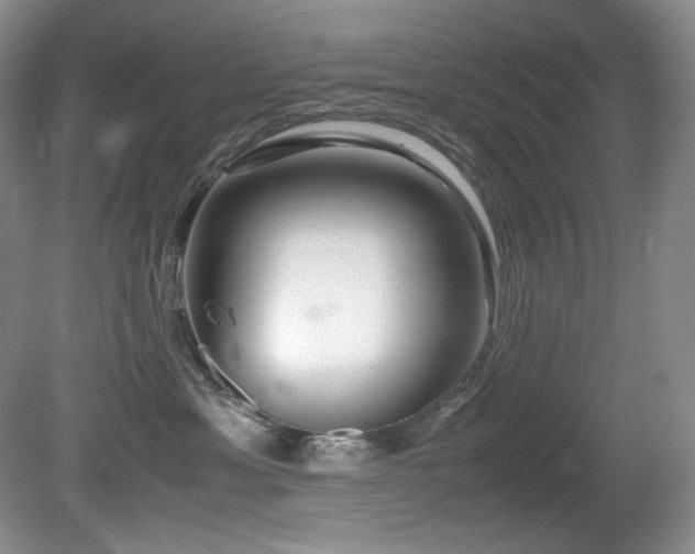 X0000081590429200701151314